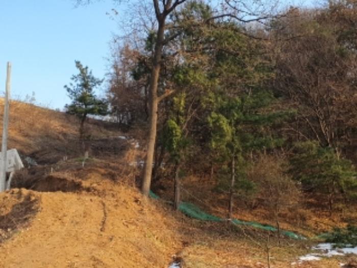 법원경매 2024타경94546 사진7 | 화성시 봉담읍 마하리 임야 경매