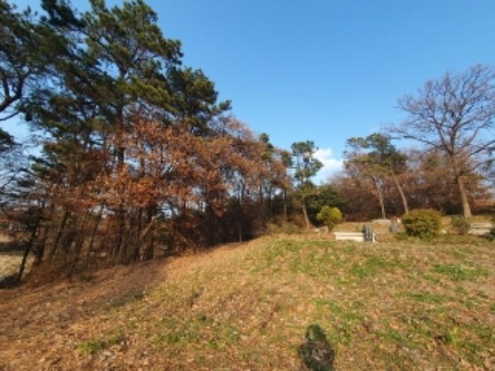 법원경매 2024타경94546 사진8 | 화성시 봉담읍 마하리 임야 경매