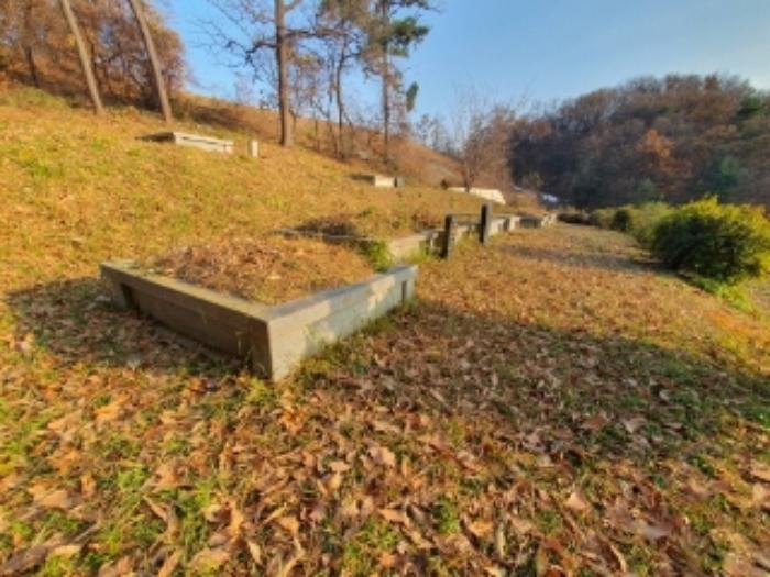 법원경매 2024타경94546 사진13 | 화성시 봉담읍 마하리 임야 경매