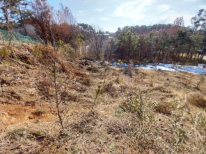 법원경매 2024타경99558 사진10 | 용인시 기흥구 고매동 261-7 임야 경매