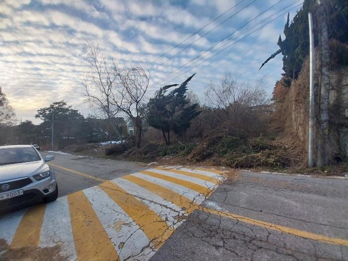 법원경매 2024타경99558 사진3 | 용인시 기흥구 고매동 261-7 임야 경매