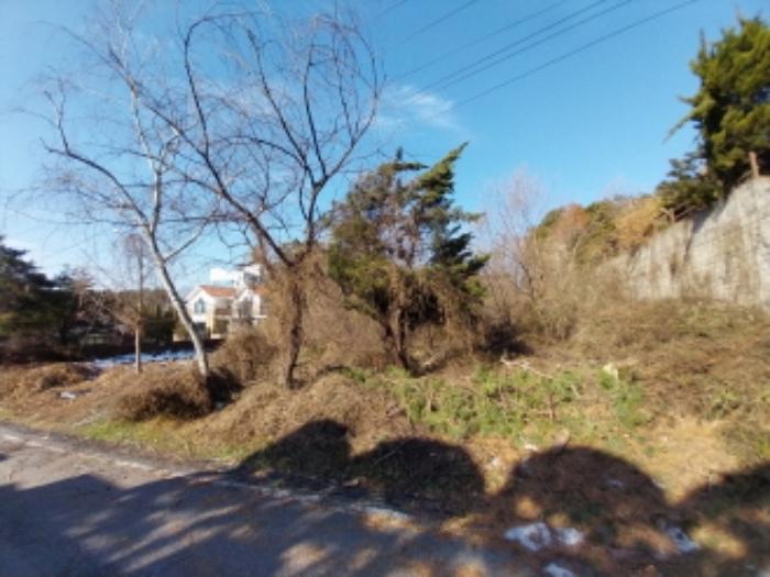법원경매 2024타경99558 사진6 | 용인시 기흥구 고매동 261-7 임야 경매