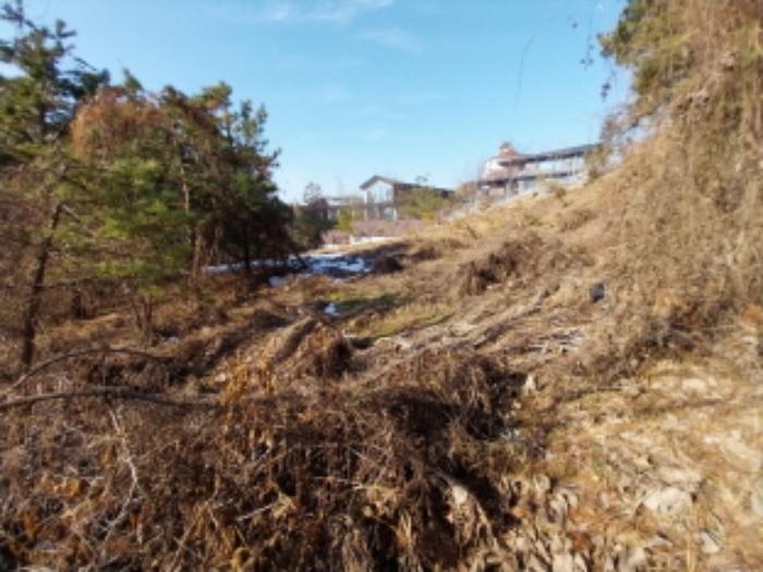법원경매 2024타경99558 사진8 | 용인시 기흥구 고매동 261-7 임야 경매