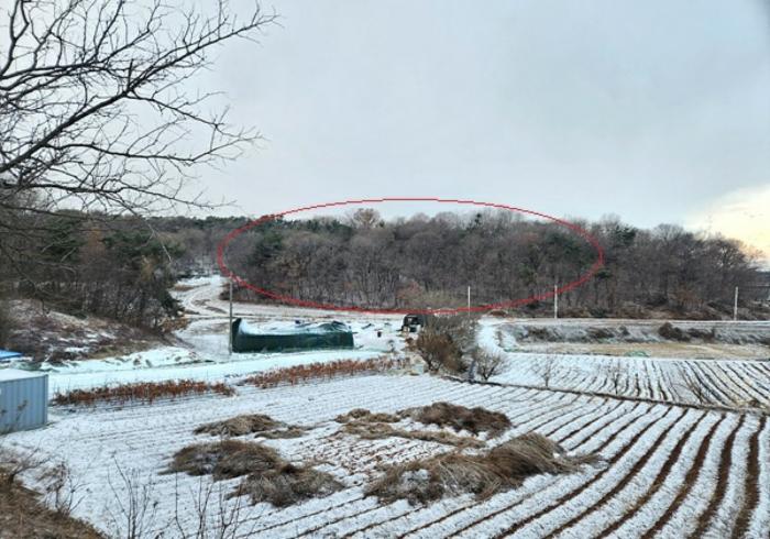 법원경매 2024타경102010 사진4 | 화성시 장안면 장안리 임야 경매
