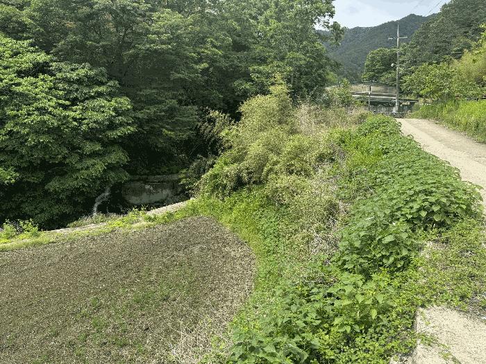 2025타경32723 법원경매 사진2 | 전남 곡성군 전답 경매