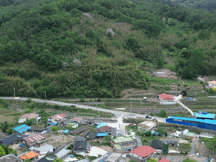 2025타경32723 법원경매 사진20 | 전남 곡성군 대지 경매