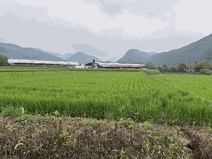 경상북도 칠곡군 지천면 달서리 352-1 법원경매 물건 대표사진