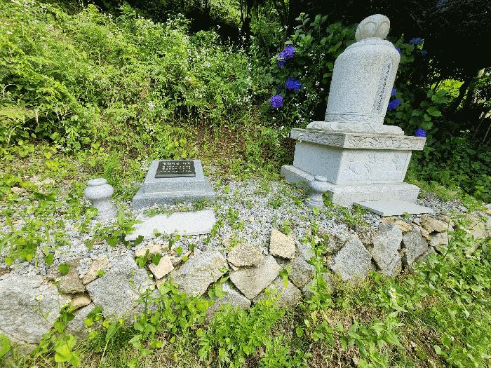 법원경매 2025타경32783 사진9 | 광주 동구 운림동 임야 경매