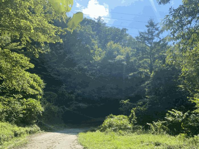 경상북도 청도군 각북면 지슬리 산110 법원경매 물건 대표사진