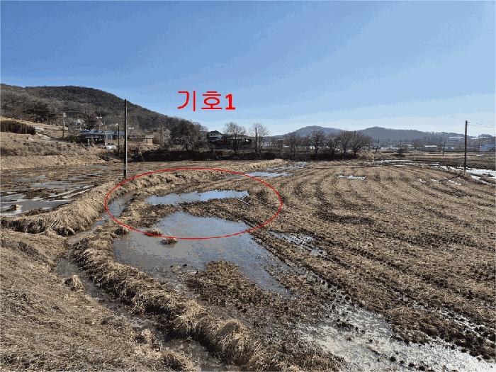 법원경매 2025타경54424 사진10 | 화성시 송산면 답 경매