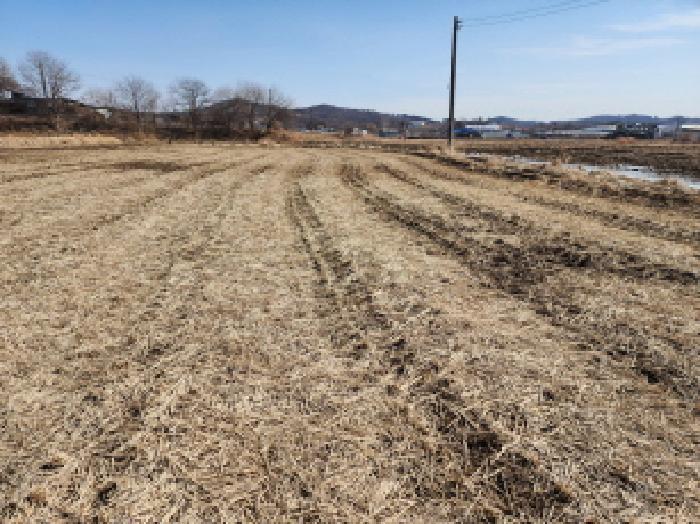 법원경매 2025타경54424 사진4 | 화성시 송산면 마산리 740-36 답 경매
