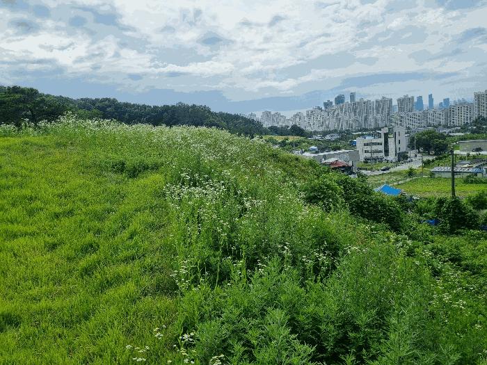 2025타경3577 법원경매 사진6 | 세종 금남면 근린시설 경매