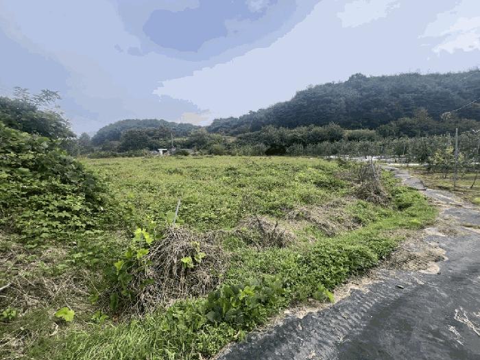 충청북도 제천시 산곡동 602 법원경매 물건 대표사진