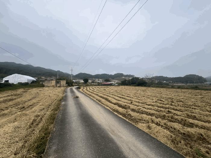 2025타경164 법원경매 사진3 | 충북 제천시 답 경매