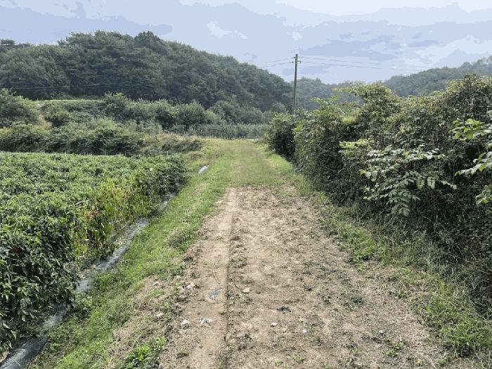 2025타경164 법원경매 사진4 | 충북 제천시 답 경매