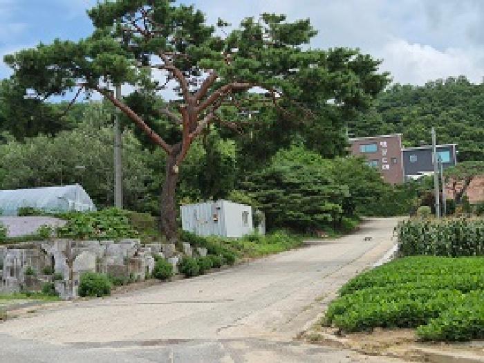 법원경매 2025타경20716 사진19 | 원주시 흥업면 대안리 1920 대지 경매