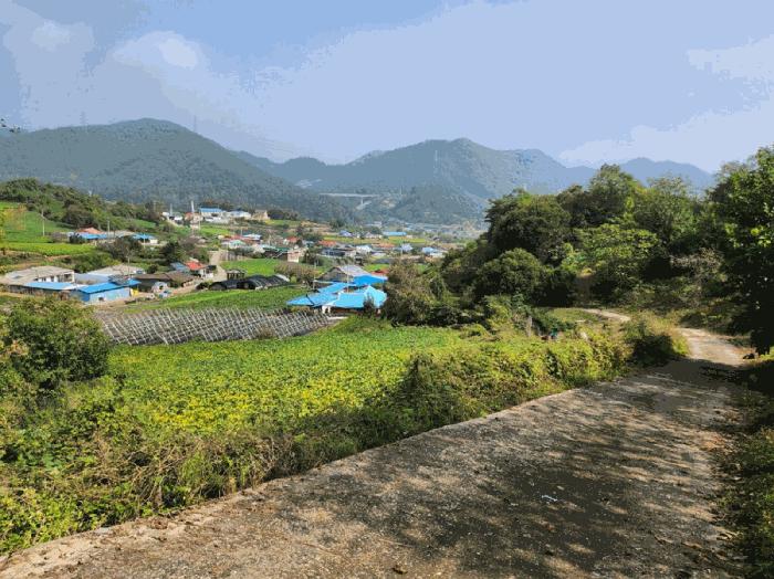 충북 단양군 적성면 하리 212 전 사진 6