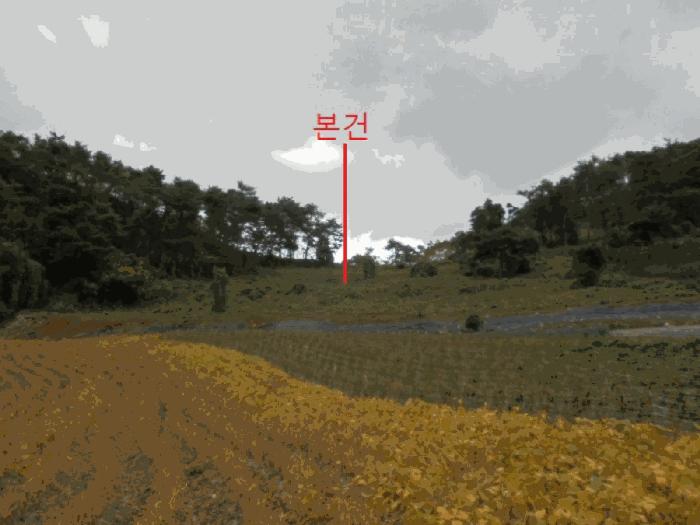 충청북도 단양군 영춘면 오사리 185 법원경매 물건 대표사진