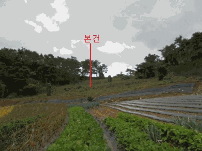 2025타경172 법원경매 사진2 | 충북 단양군 전 경매