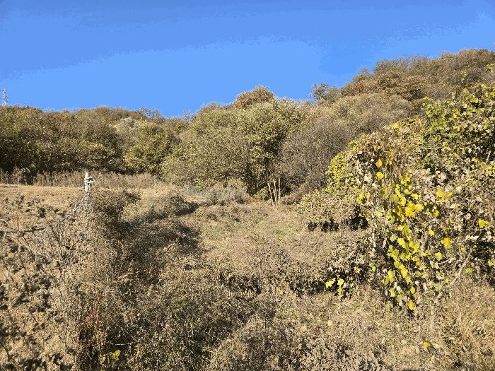 충청남도 아산시 음봉면 산동리 15-1 법원경매 물건 대표사진