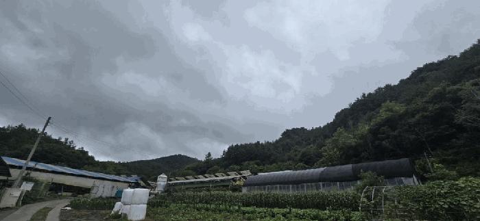 충북 제천시 두학동 산49-2 임야 경매 물건 사진