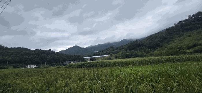충북 제천시 두학동 산49-2 임야 사진 2