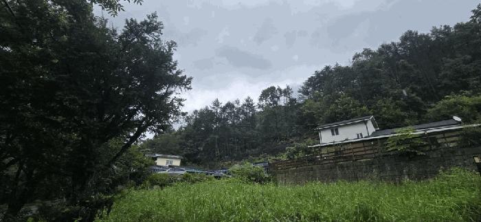 충북 제천시 두학동 산49-2 임야 사진 3