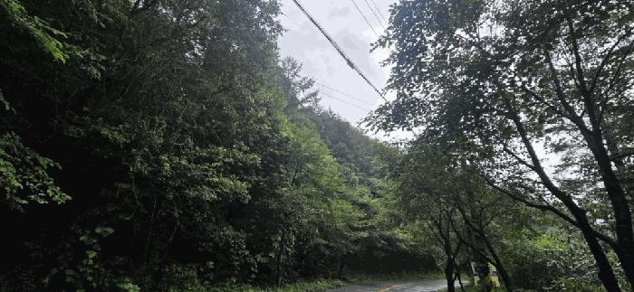 충북 제천시 두학동 산49-2 임야 사진 4
