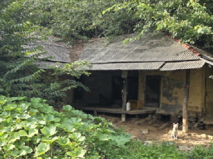 충북 제천시 덕산면 선고리 1034 전 사진 4