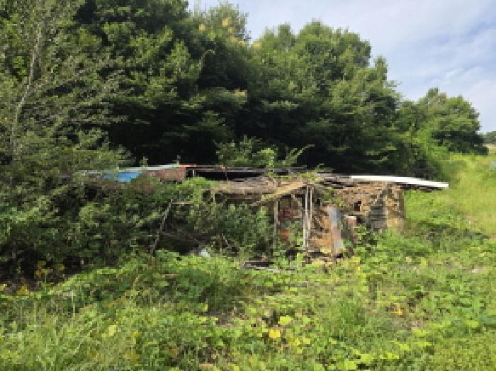 충북 제천시 덕산면 선고리 1034 전 사진 5