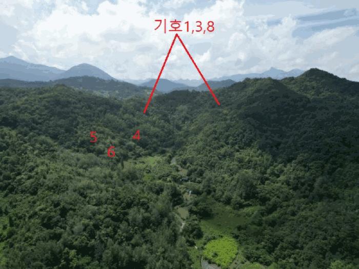 충북 제천시 수산면 내리 산29-2 임야 경매 물건 사진