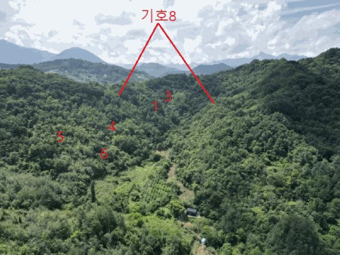 충북 제천시 수산면 내리 산29-2 임야 사진 3