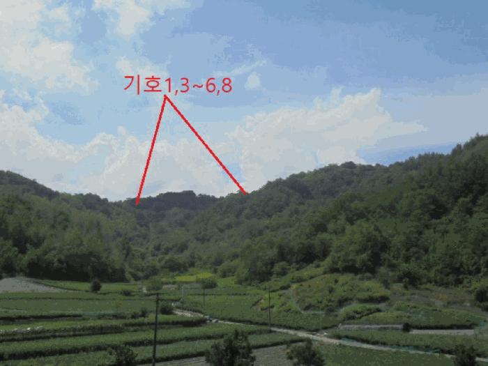 충북 제천시 수산면 내리 산29-2 임야 사진 5