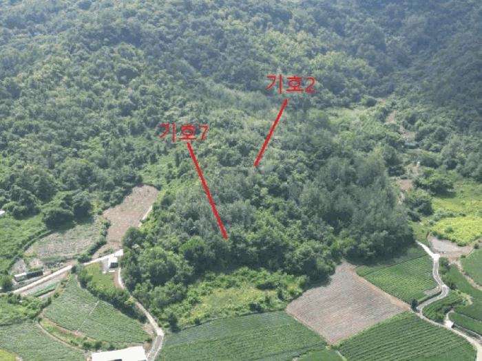 2025타경5398 법원경매 사진7 | 충북 제천시 임야 경매