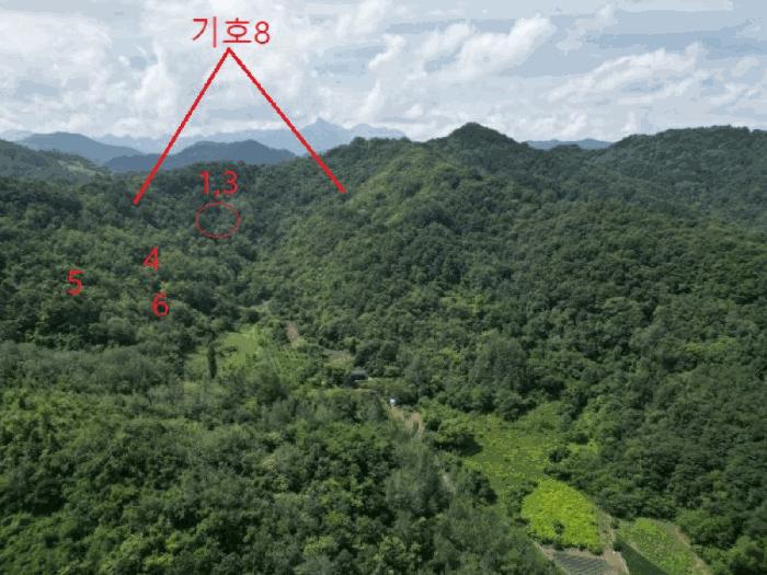 2025타경5398 법원경매 사진8 | 충북 제천시 임야 경매