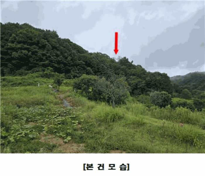 2025타경503233 법원경매 사진3 | 충남 금산군 임야 경매