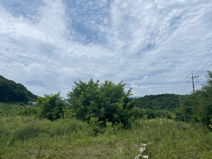 법원경매 2025타경8551 사진3 | 영천시 청통면 죽정리 120-6 답 경매