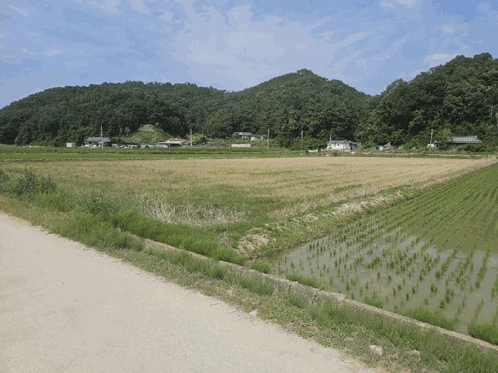 법원경매 2024타경2091 사진4 | 영주시 이산면 신암리 505-6 답 경매