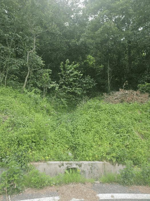 경상북도 영주시 이산면 신암리 722-7 법원경매 물건 대표사진
