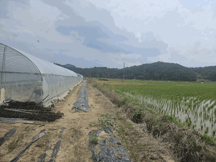 법원경매 2024타경2091 사진5 | 영주시 이산면 신암리 545-2 답 경매
