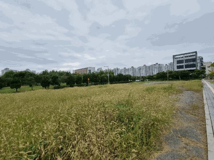 전북특별자치도 군산시 미장동 501-1 법원경매 물건 대표사진