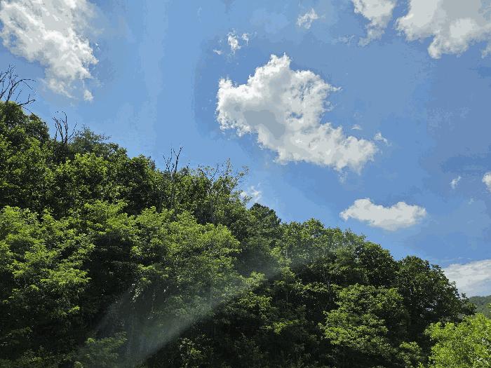 경상북도 안동시 녹전면 사신리 1018 법원경매 물건 대표사진
