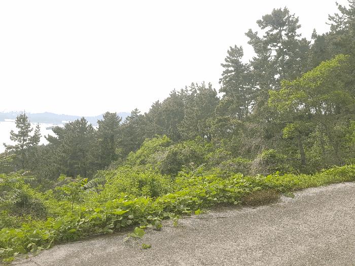 경상남도 남해군 서면 작장리 산139-4 법원경매 물건 대표사진