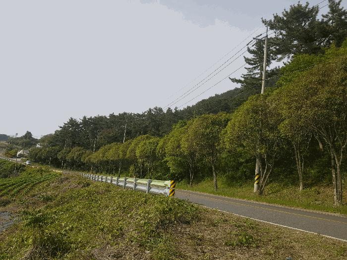 2025타경30816 법원경매 사진3 | 경남 남해군 임야 경매