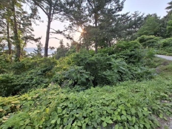 2025타경30816 법원경매 사진7 | 경남 남해군 임야 경매