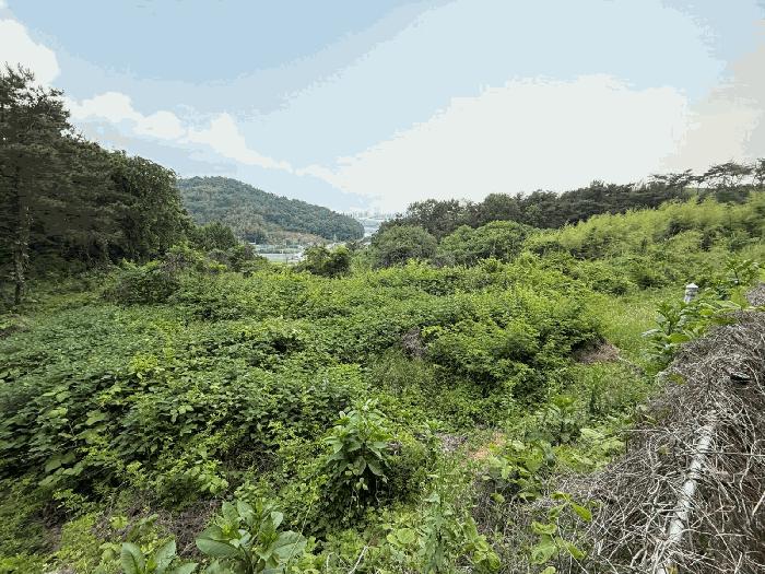경상남도 진주시 금산면 송백리 326 법원경매 물건 대표사진