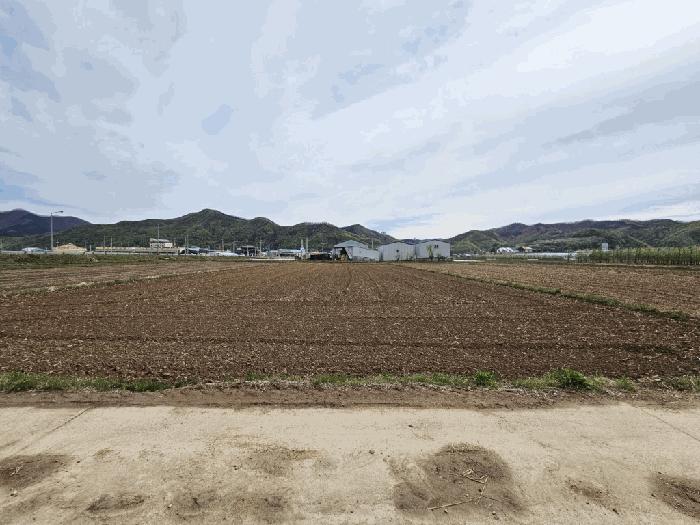 법원경매 2025타경100299 사진3 | 안동시 길안면 천지리 293 답 경매