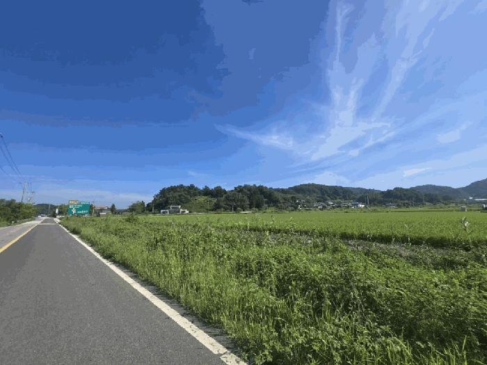 전북특별자치도 군산시 나포면 나포리 산102-5 법원경매 물건 대표사진