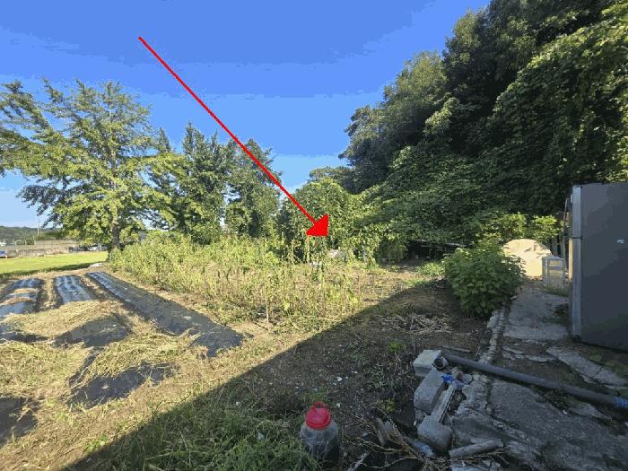 2025타경21262 법원경매 사진5 | 전북 군산시 임야 경매