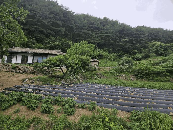 경상북도 봉화군 법전면 눌산리 1065 법원경매 물건 대표사진